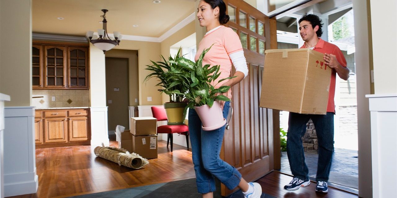 a man and a girl moving plants and carton inside the house | AHI Residential Home Inspection | Door Charlotte a man and a girl moving plants and carton inside the house | AHI Residential Home Inspection | Door Charlotte