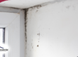 Mold growth in the corner of a white window frame, indicating moisture buildup and potential ventilation issues.