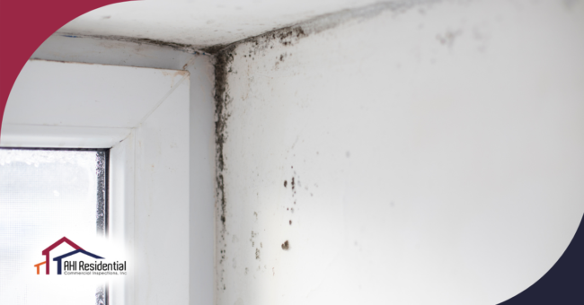 AHI Residential & Commercial Inspections (9) Mold growth in the corner of a white window frame, indicating moisture buildup and potential ventilation issues.