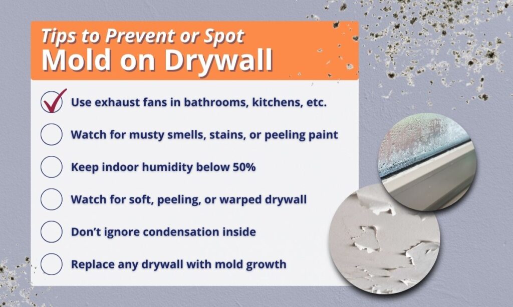 how to prevent mold on drywall and at home