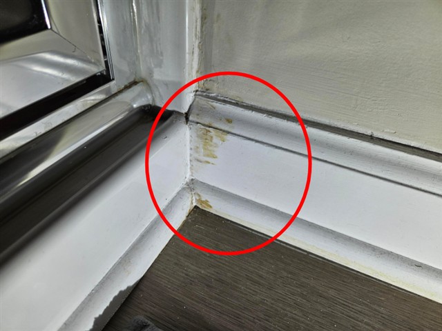 Water-stained baseboard next to the primary shower in Home A