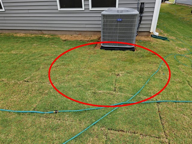 Poorly graded yard sloping toward the rear of Home B