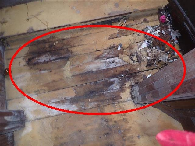 Home C: rotted subfloor under the laundry room, not safe to walk on