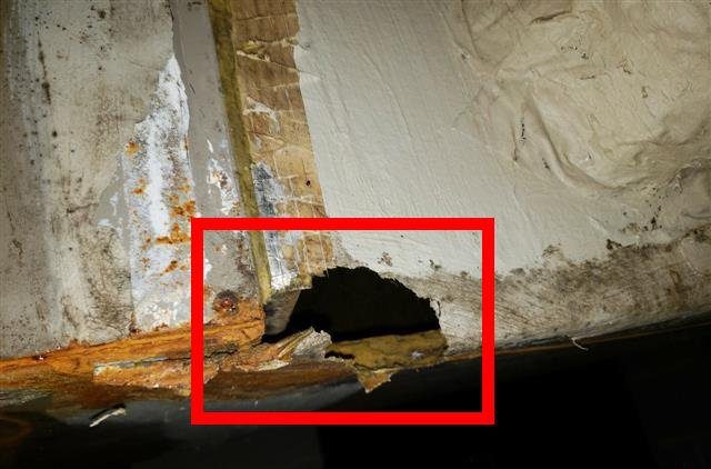 Home B: rodent damage to the main supply plenum