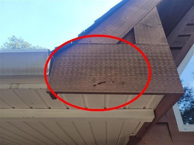 Home A: active wood-destroying insect damage at the house