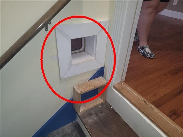 Home A: a pet door cut into the fire separation between the basement and first floor