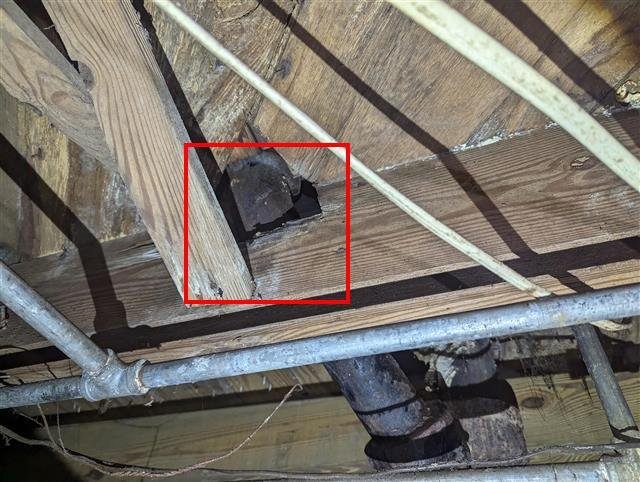 Home I: a floor joist cut through under the bathroom