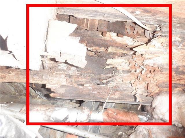 Home C: rotted girders, band sill and floor joists through most of the crawl space