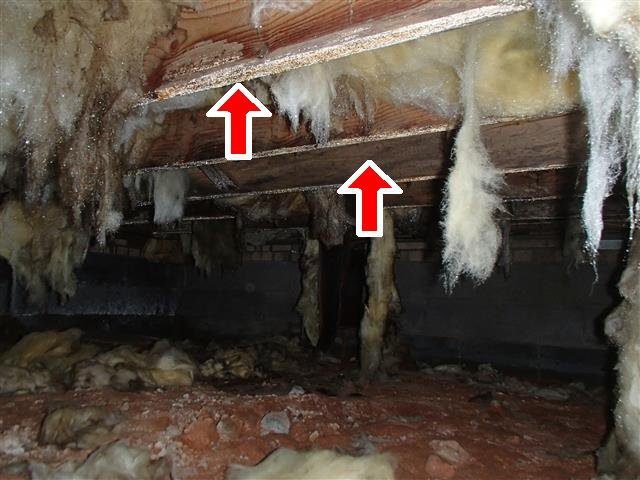 Home G: wet, rotted girder, joists and subfloor under the guest bathroom