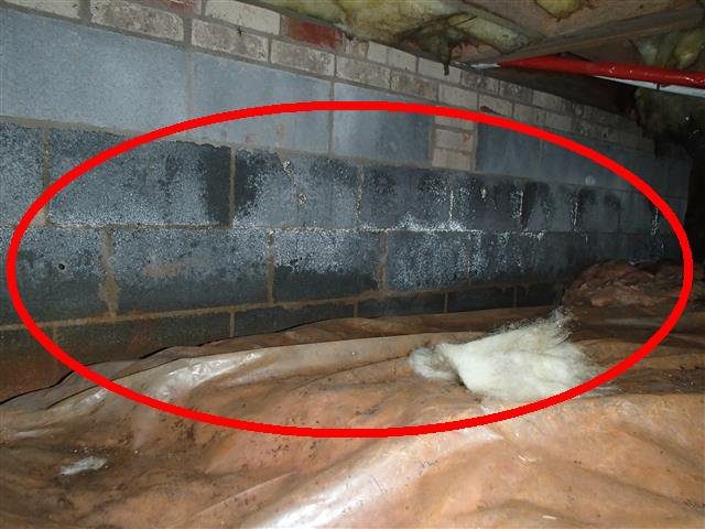 Home G: active water intrusion along the crawl space foundation wall