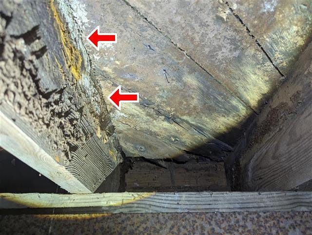 Home I: microbial growth and deterioration on the floor framing