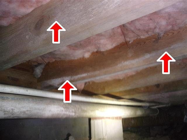 Home J: microbial growth on the crawl space framing