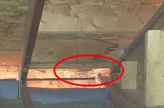 Home B: water stains on the roof sheathing in the attic