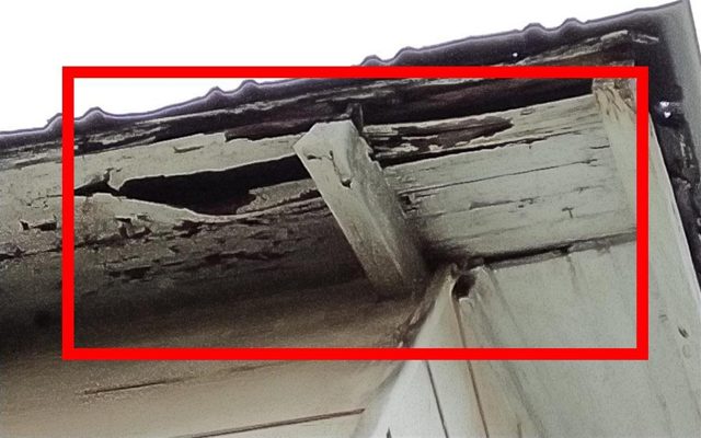 Home C: rotted rafter tails and roof decking at the eave