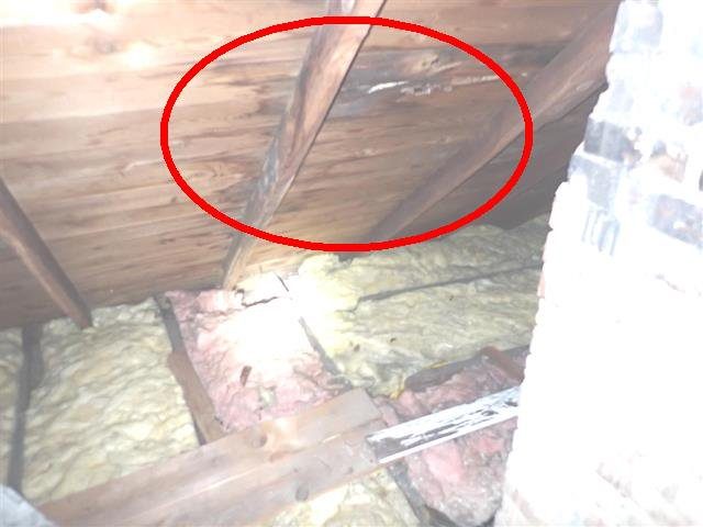 Home C: water stains on the attic roof boards