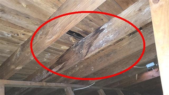 Home H: water stains in the attic