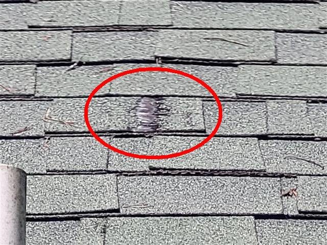 Home A: a damaged shingle on the garage roof