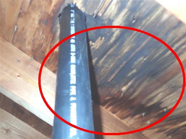 Home G: moisture damage to the attic sheathing around a plumbing vent