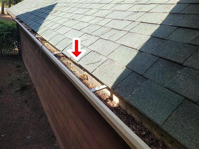 Home A: gutters so clogged that plants are growing in them