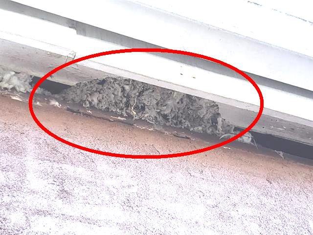 Home E: missing soffit, with attic insulation exposed and signs of rodents