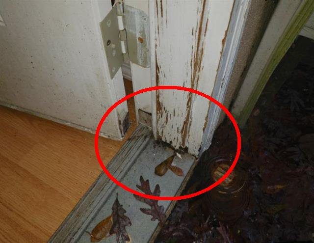 Home F: a rotted boat house door frame with missing flashing