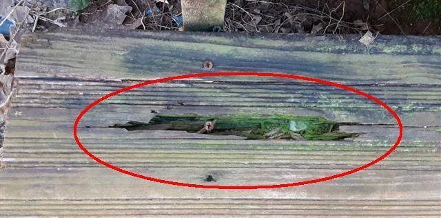 Home B: rot in the rear entry steps
