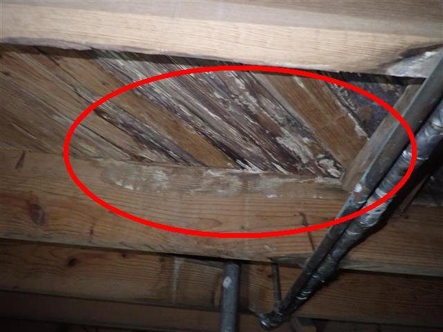 Home E: an active tub leak rotting the subfloor