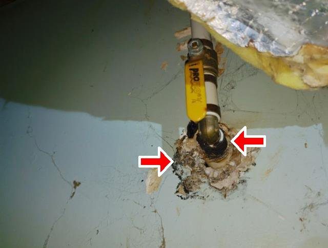 Home F: an active leak at the main water supply line in the basement