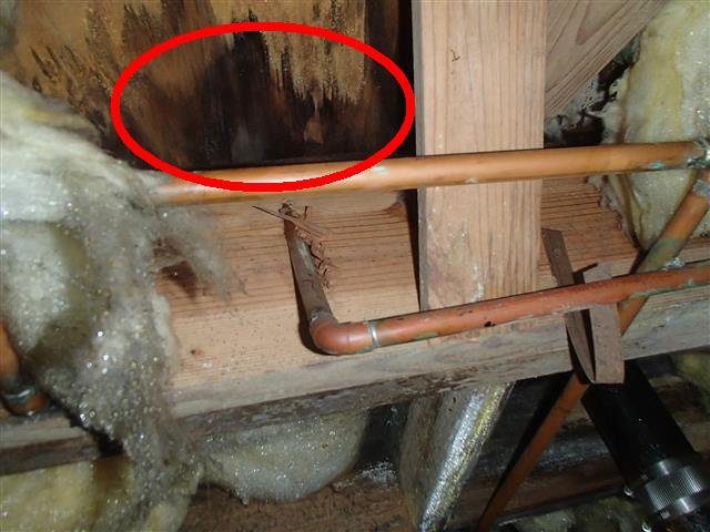 Home G: supply lines run through the floor joists, with signs of leaks