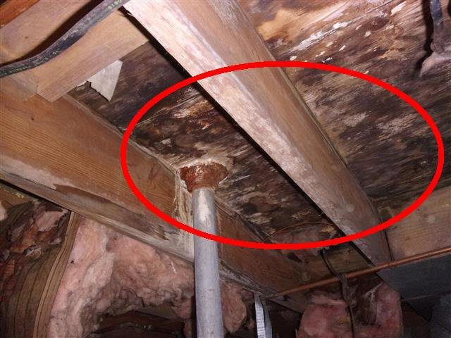 Home J: a leaking shower pan, with damage in the crawl space below