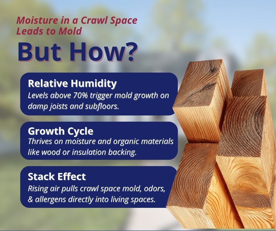 Spot Mold & Moisture in Crawl Space Before Buying in NC 3 An educational graphic explaining how moisture in crawl space causes mold, outlining relative humidity, the growth cycle, and the stack effect alongside stacked wooden beams.